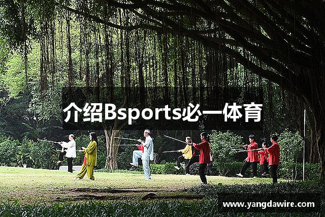 介绍Bsports必一体育